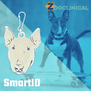 Placa identificacion Bullterrier