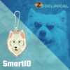 Placa ID Samoyedo